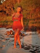 ����������� ����, 22, ���������