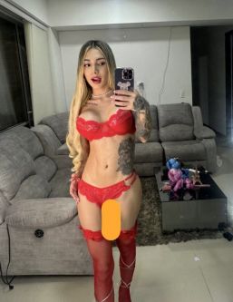 ������������ �����, ���������, +7 (908) 673-6043